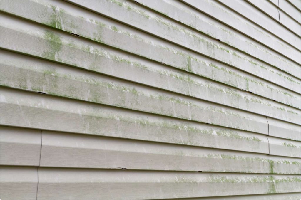 Vinyl Siding Pressure Washing | Algae on Siding