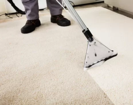 carpet cleaning