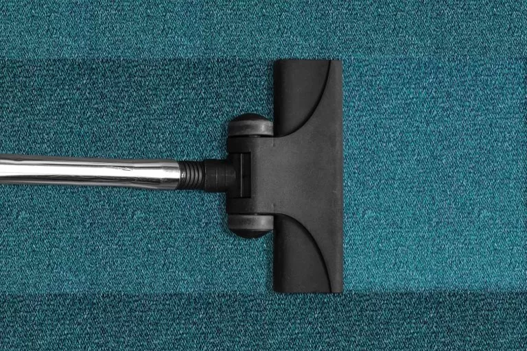 cleaning blue carpet