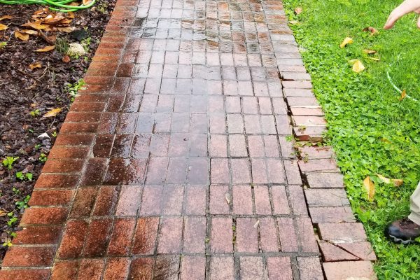 Brick Sidewalk Cleaning | Before Pressure Wash | Pikesville MD